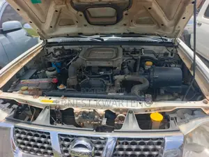 Nissan Hardbody 2020 White