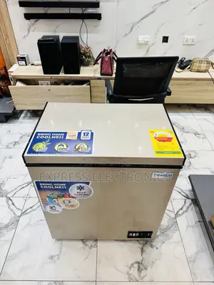 Ultra Modern Single Door Gold Chest Freezer Nasco.