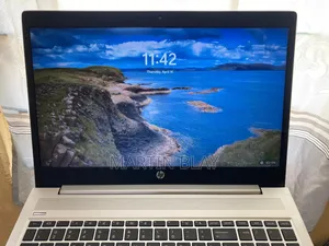 Laptop HP ProBook 455 G5 8GB AMD Ryzen 5 SSD 256GB