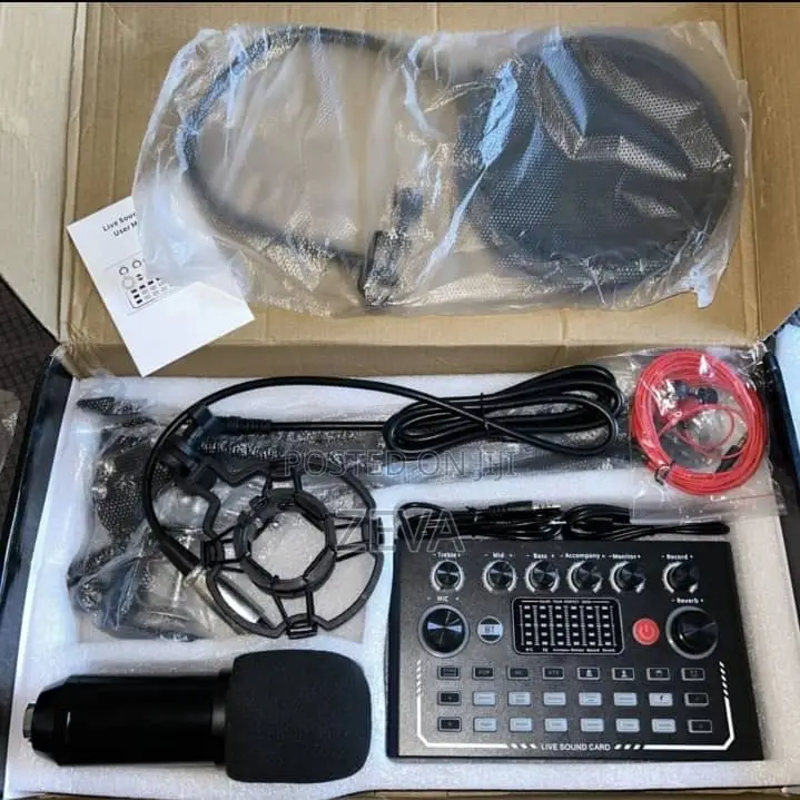 Condenser Microphone