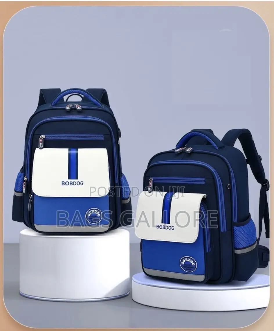 Nice School Bag