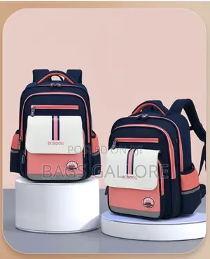 Nice School Bag