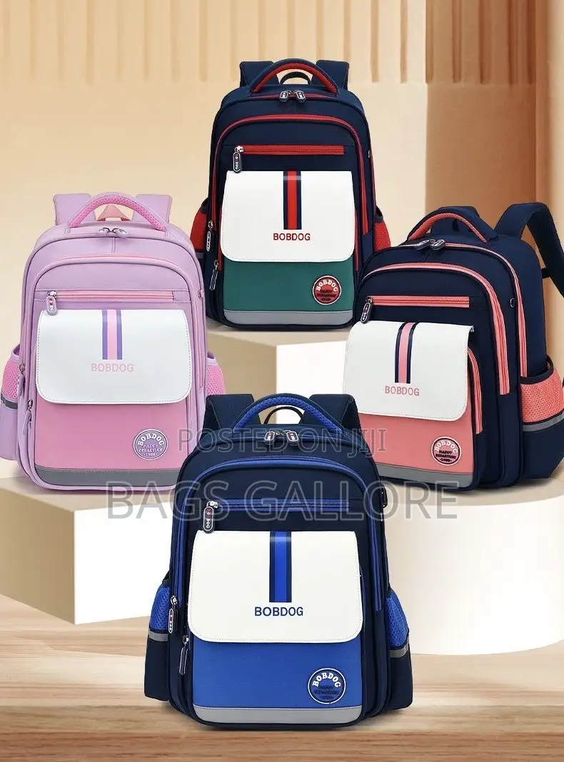 Nice School Bag