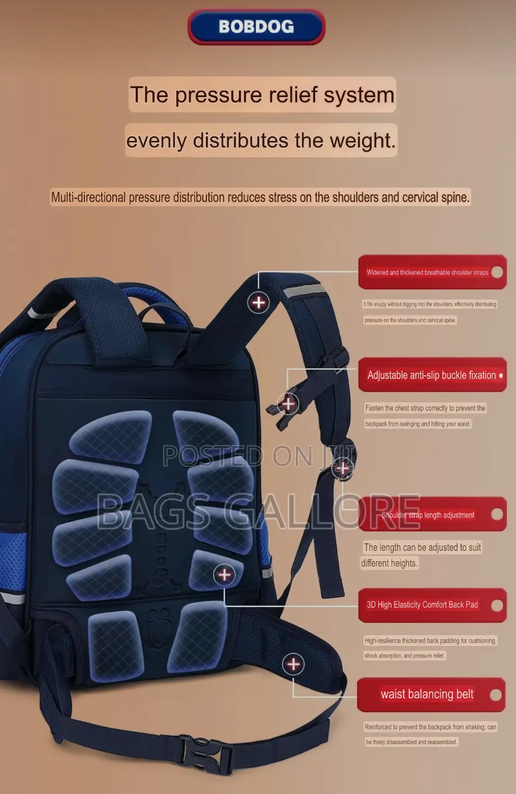 Nice School Bag