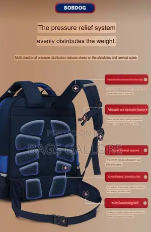 Nice School Bag