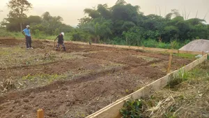 General Construction Work