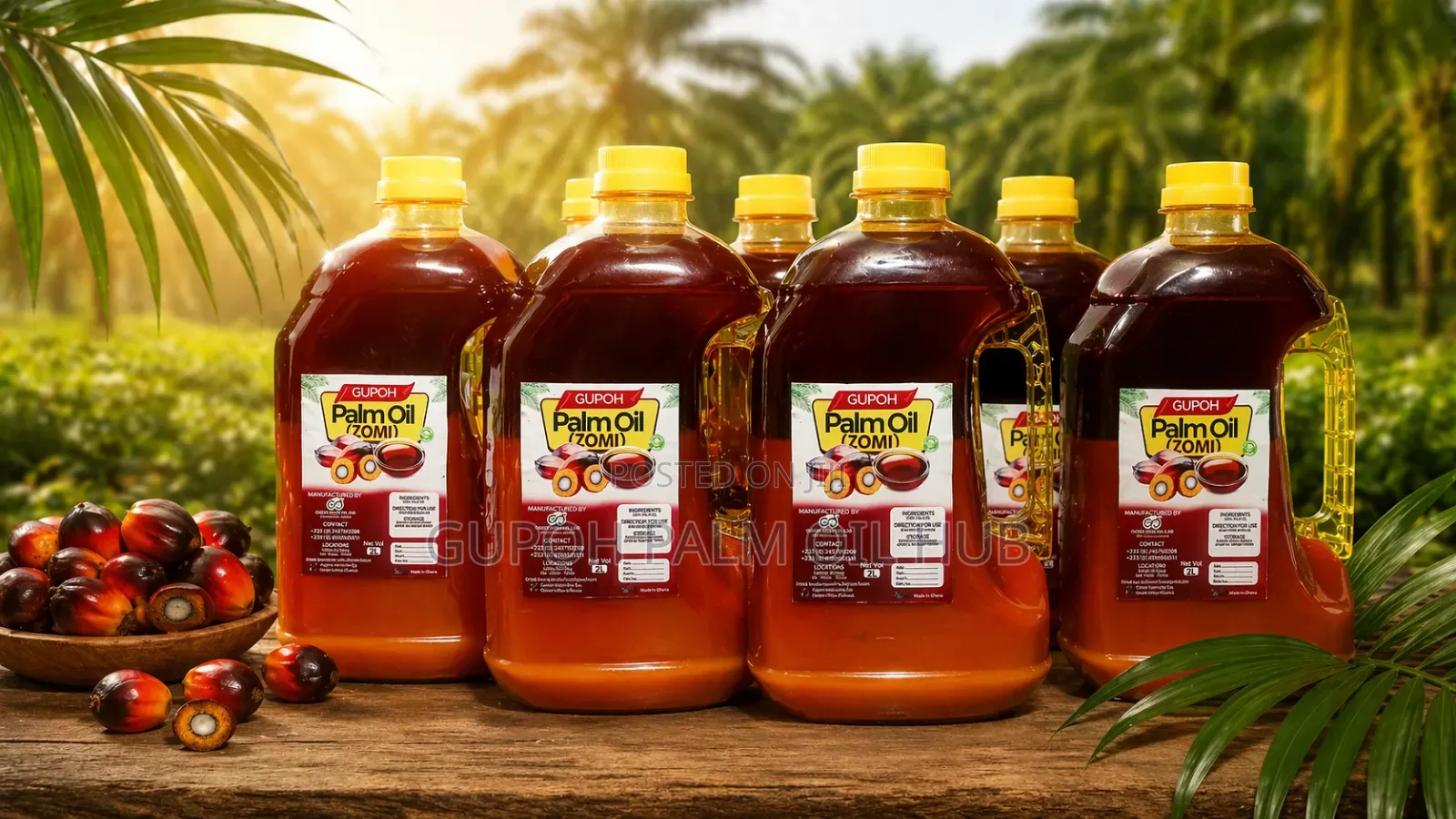 Gupoh Palm Oil ( Zomi)