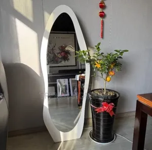 Full Length Dressing Mirror Modern Elegant