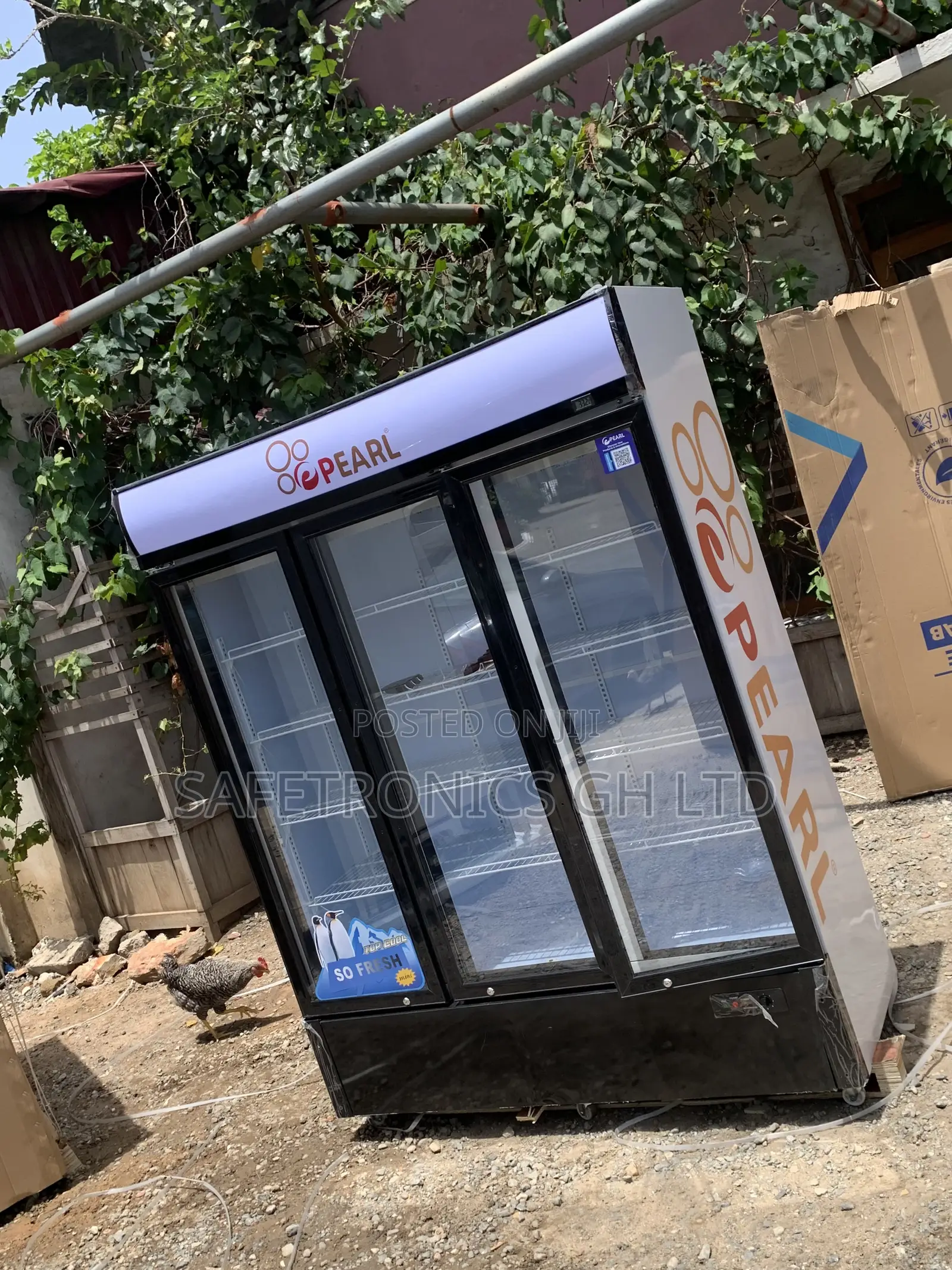 Brand New the PVC-150 Pearl Three-Door Glass Display Fridge