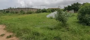Residential Property