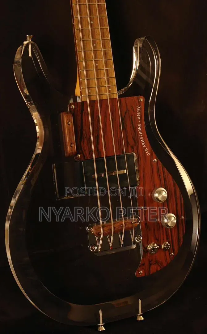 Professional Bass Guitar for International Gigs and Studio Recording