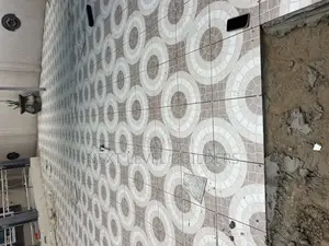 Professional Finishing Tiling Work