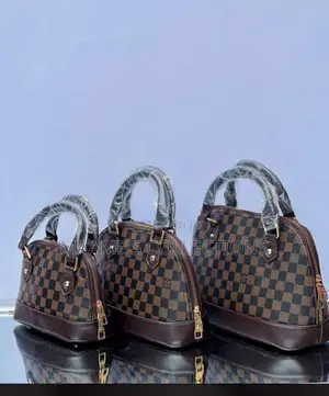 Louis Vuitton Ladies Handbag ( 3 Set)