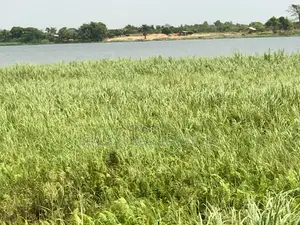 Waterfront/River Land for Sale in Akpaflito, South Tongu – Sogakope
