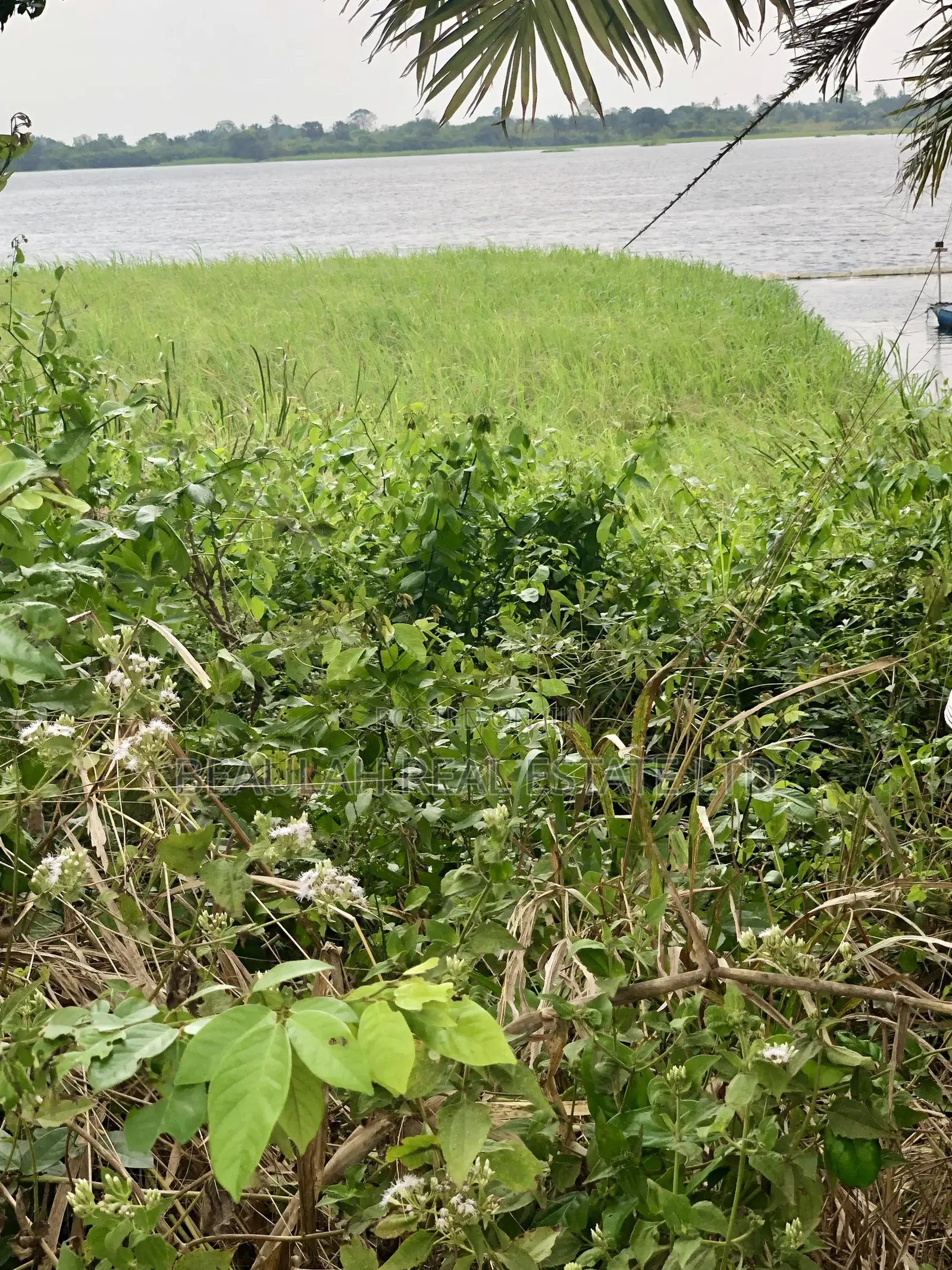 Waterfront/River Land for Sale in Akpaflito, South Tongu – Sogakope