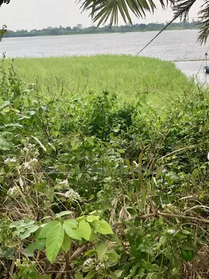 Waterfront/River Land for Sale in Akpaflito, South Tongu – Sogakope