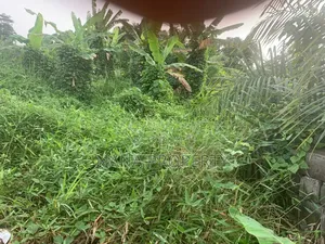 Quarter Plot of Land for Sale Located at Oyibi Saasabi