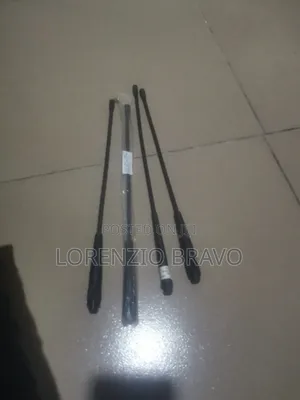 Antena Pole