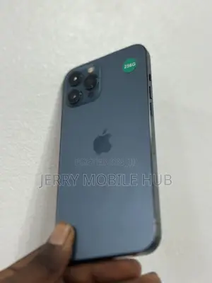 Apple iPhone 12 Pro Max 256 GB Blue