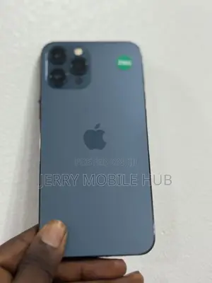 Apple iPhone 12 Pro Max 256 GB Blue