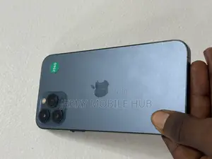 Apple iPhone 12 Pro Max 256 GB Blue