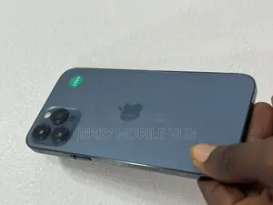 Apple iPhone 12 Pro Max 256 GB Blue