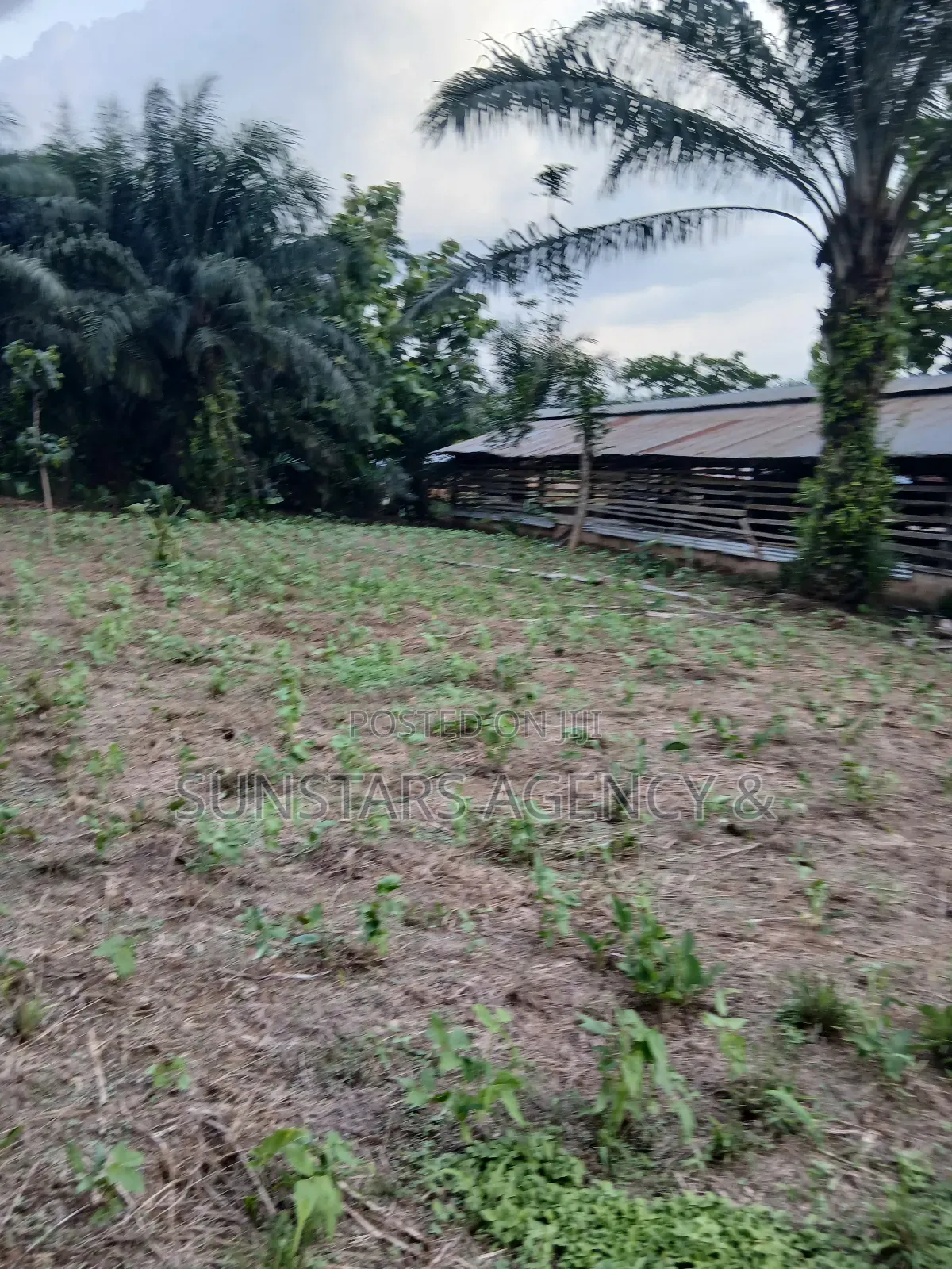 Land Available for Sale in Hohoe