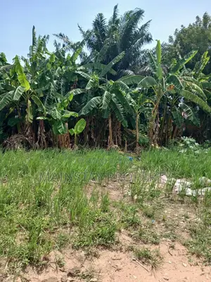 Land for Sale at Dansoman