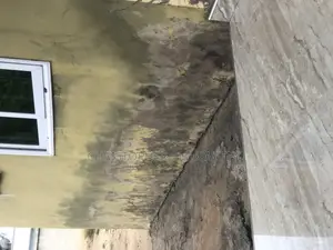 Wall Repairs