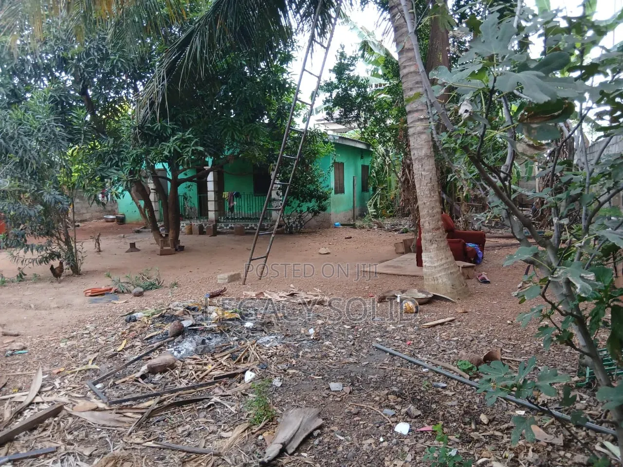Geninue 1 Plot of Land for Sale