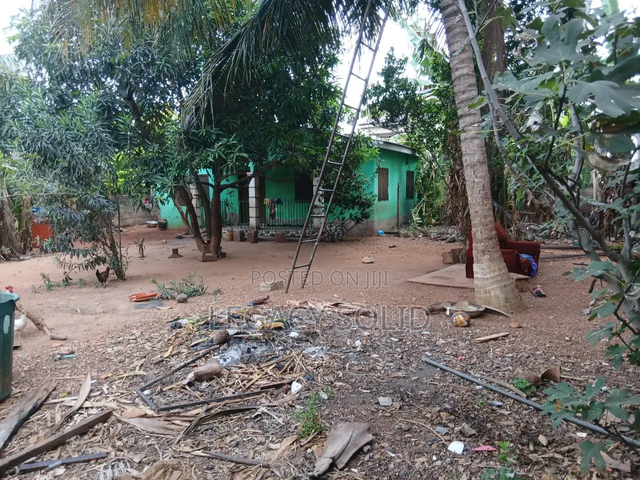Geninue 1 Plot of Land for Sale