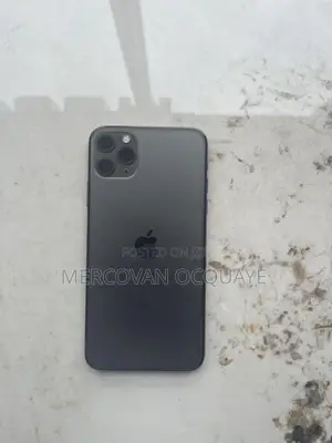 Apple iPhone 11 Pro Max 256 GB Gray