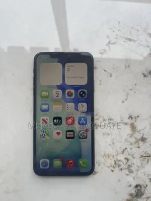 Apple iPhone 11 Pro Max 256 GB Gray