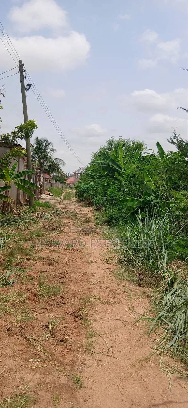 2 Plots of Land at Tech Donyina Knust Campus