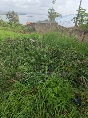Plot of Land
