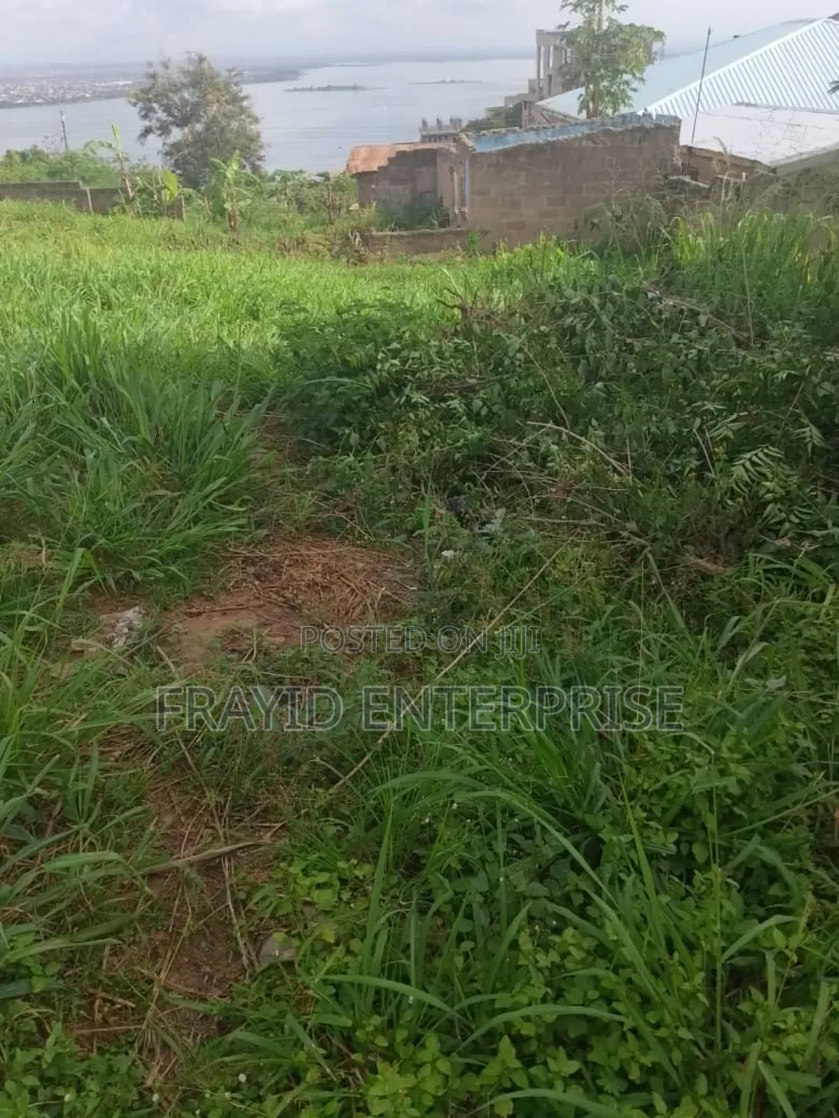 Plot of Land