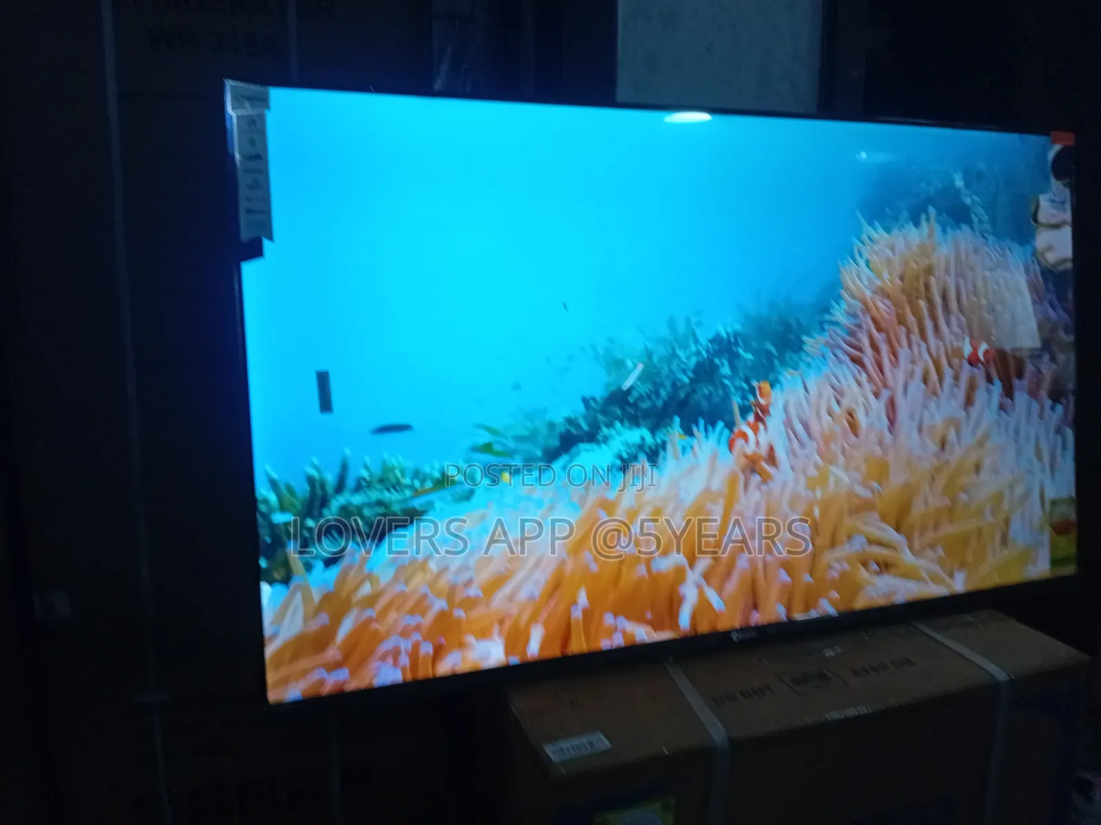 Sigma 55" Led Android
