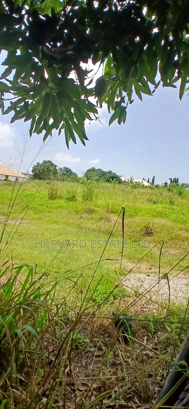 Land at Tech Donyina