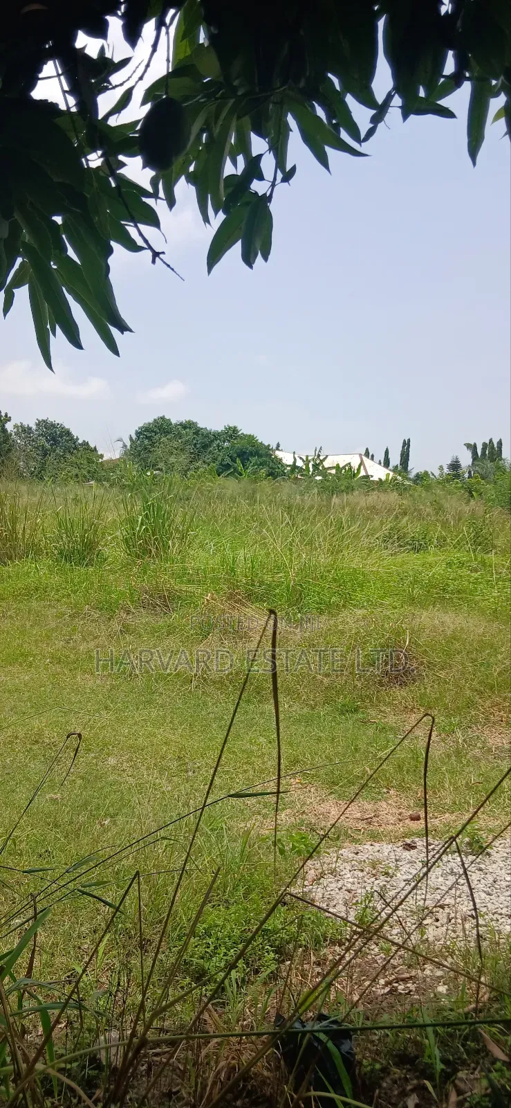 Land at Tech Donyina