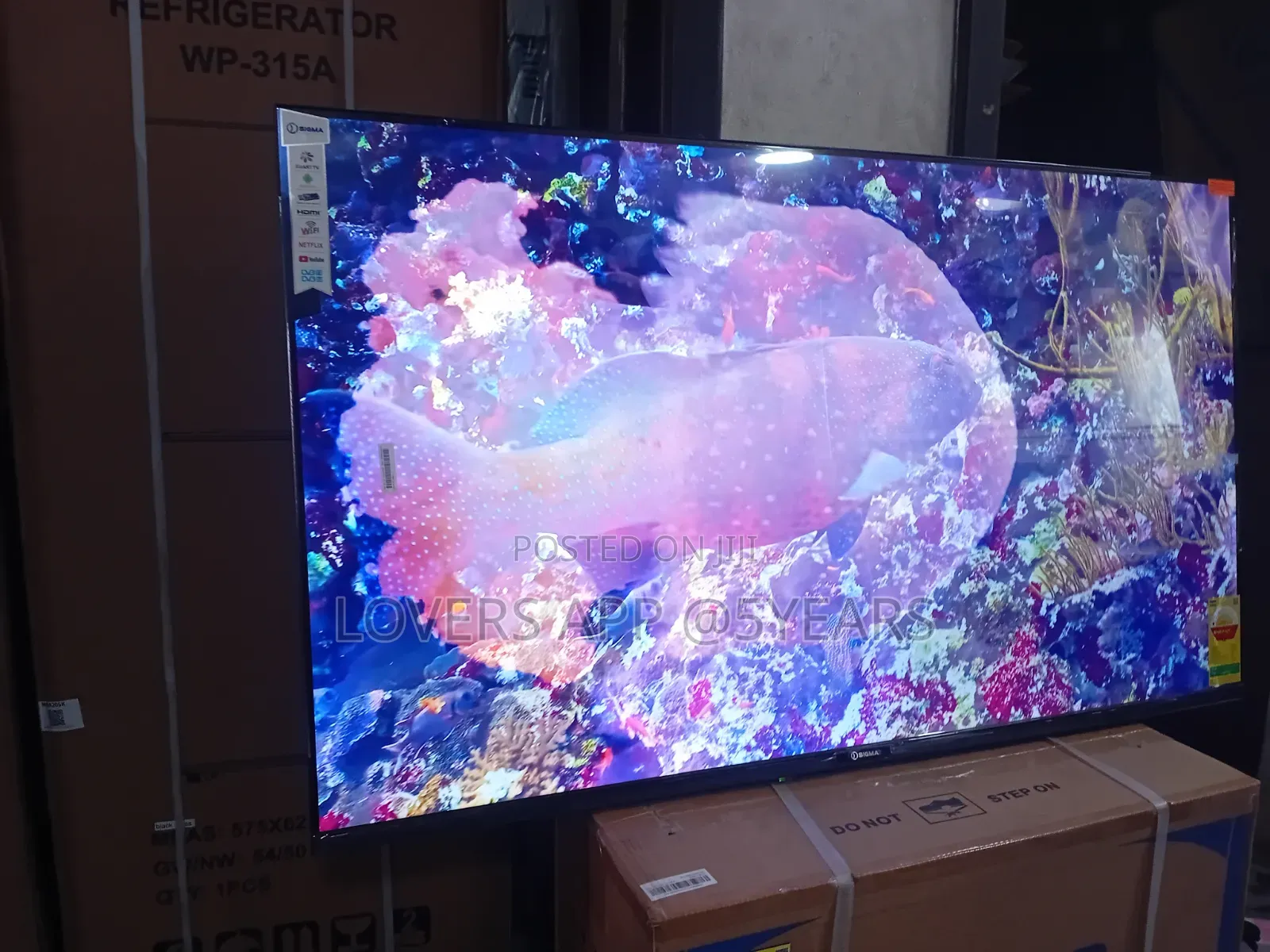 55" Sigma Charming Led Frameless Tv.