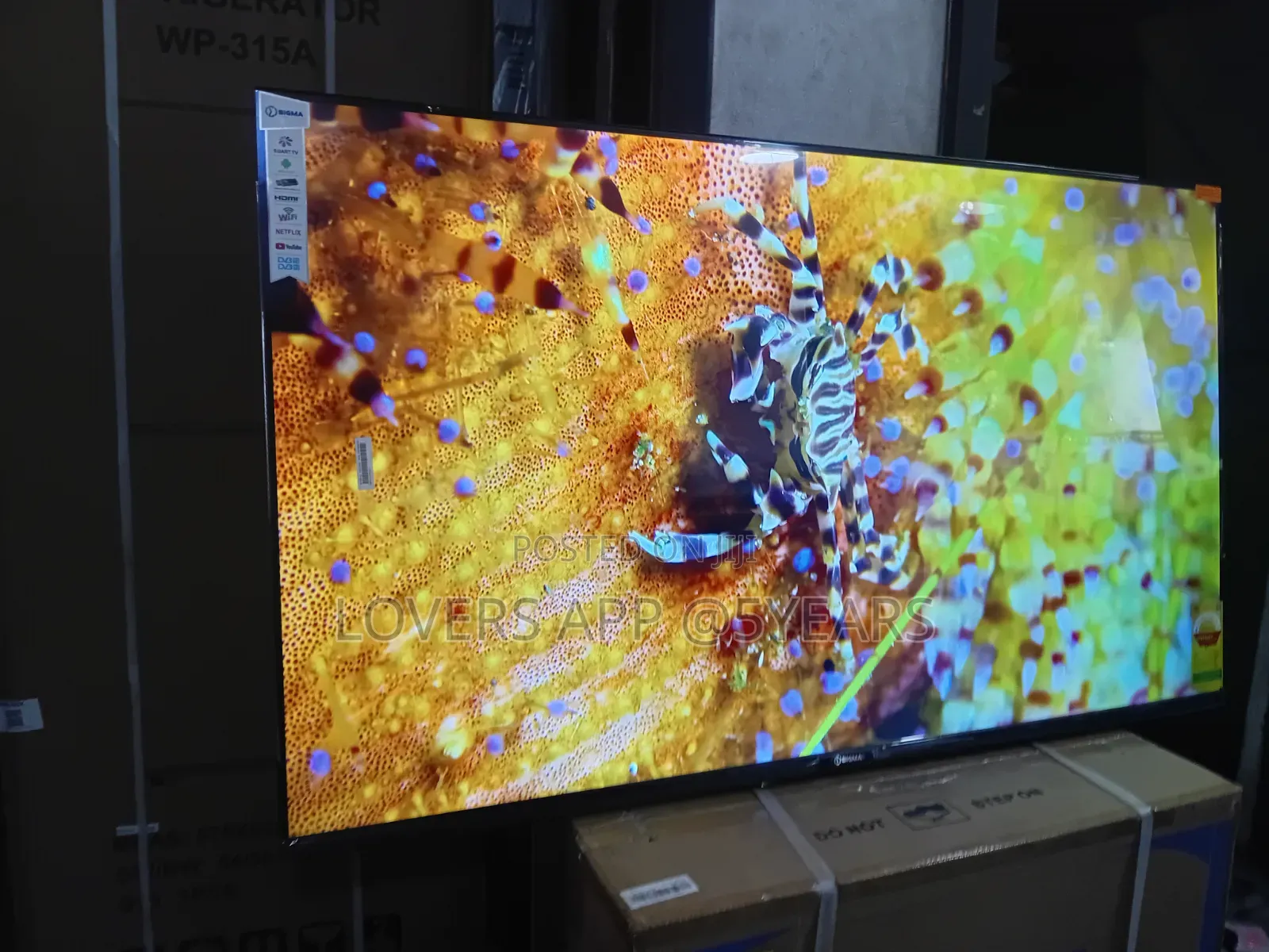 55" Sigma Charming Led Frameless Tv.