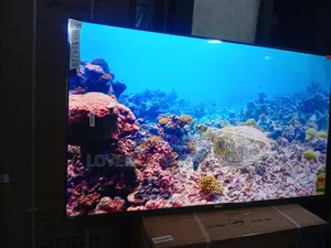 Sigma 55" Led Tv , Darling and Dynamic.