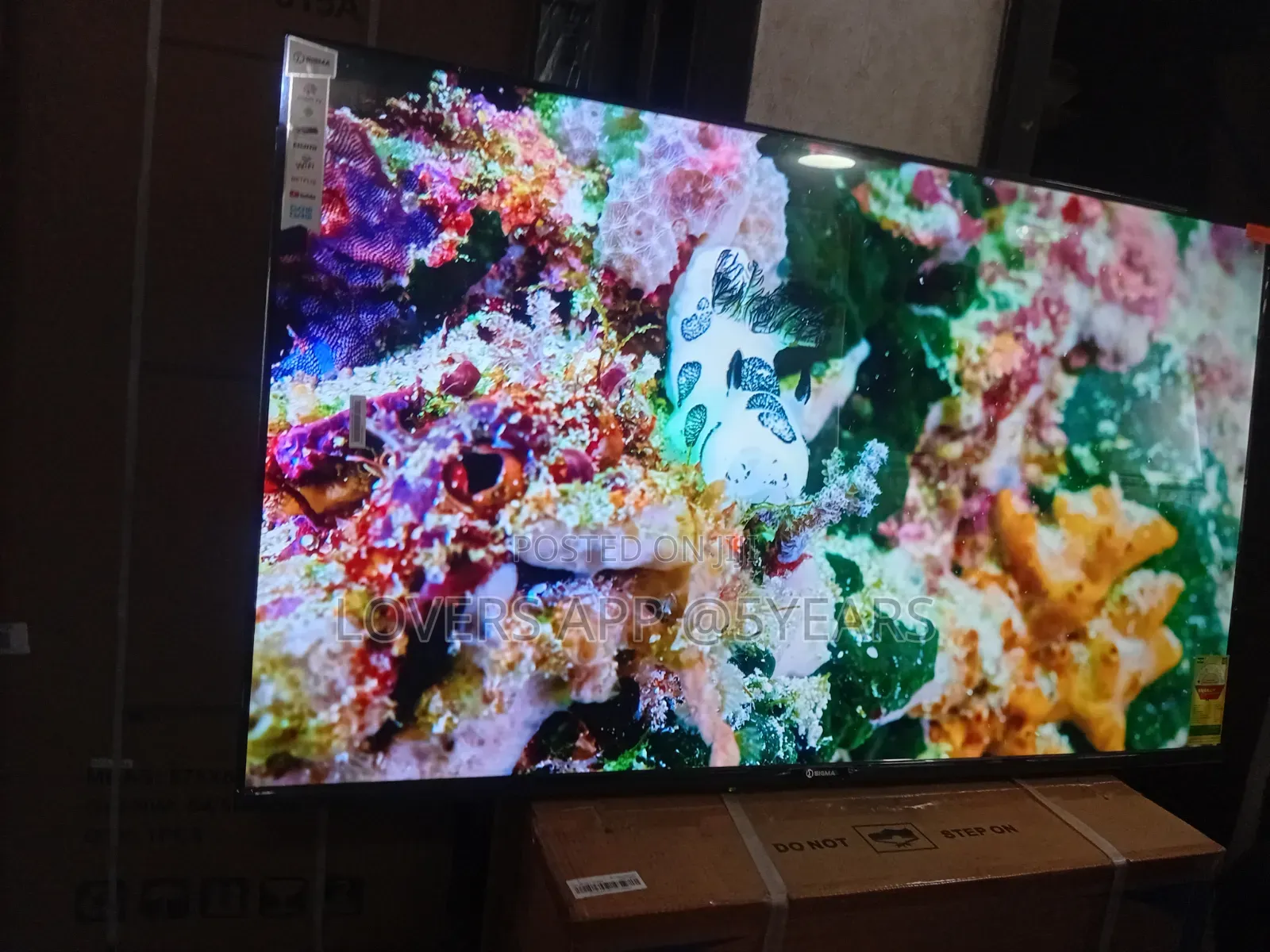 Sigma 55" Led Tv , Darling and Dynamic.