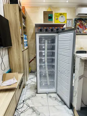 Authentic Sleek Grey Color Upright Freezer Nasd1-33