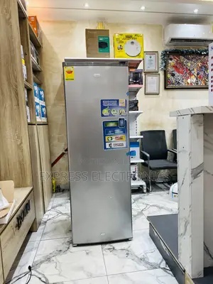 Ultra Modern Single Door Freezer Nasco Nas1-33