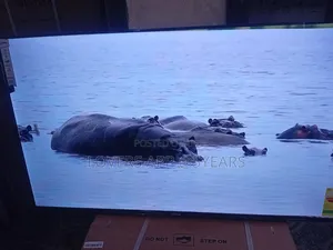 55" Sigma Sweet Spot Led Tv.