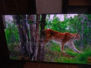 Sigma 55" Lovin ' Led Smart Tv.