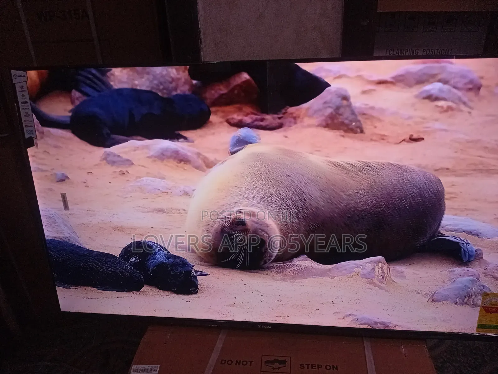 Sigma 55" Lovin ' Led Smart Tv.