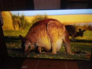 55" Sigma Darling Frameless Led Tv.