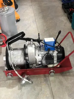 Electronic Hoist
